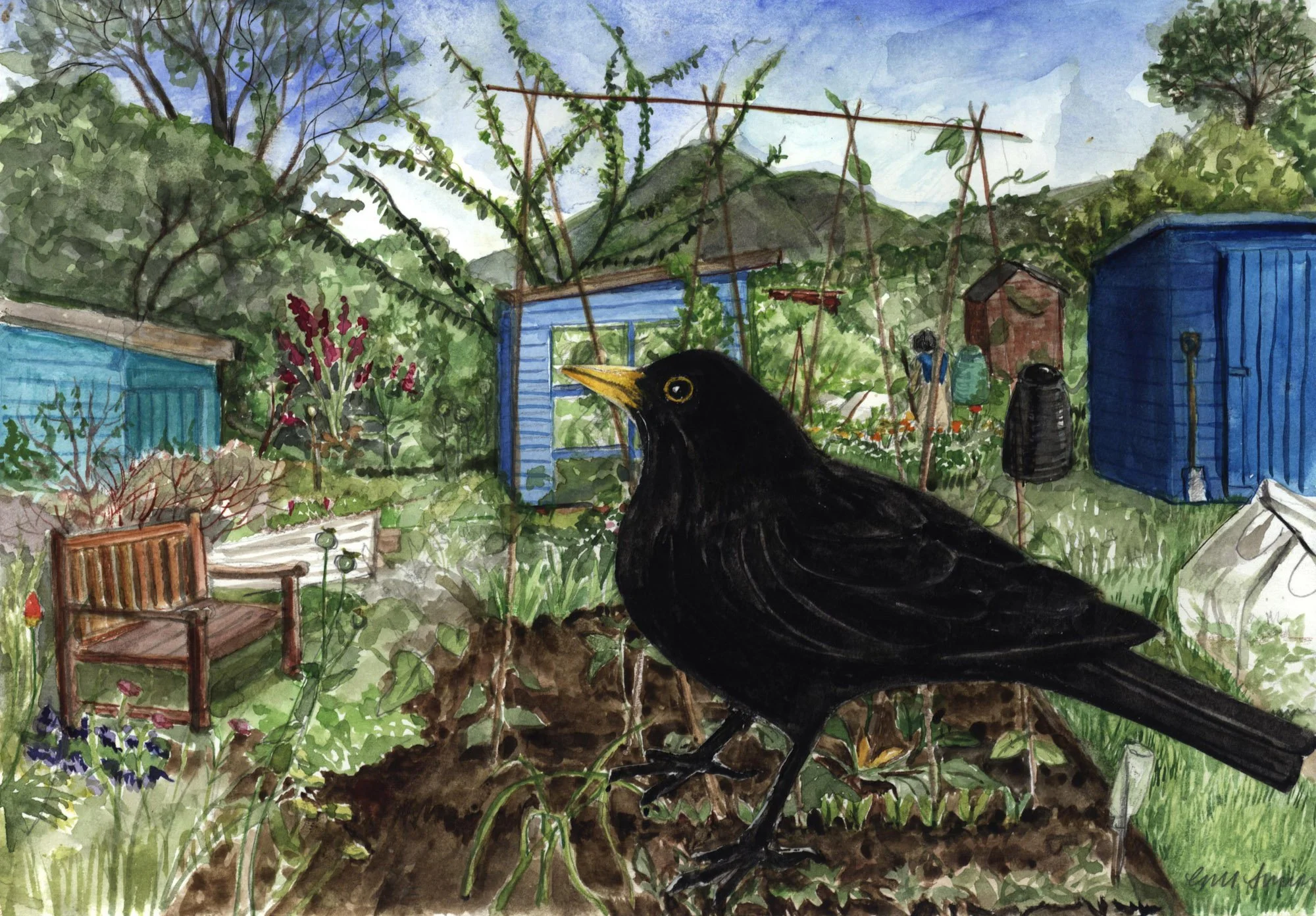 Black Bird & Edinburgh Allotmenmts, Watercolour & Collage, 30x21cm.jpg