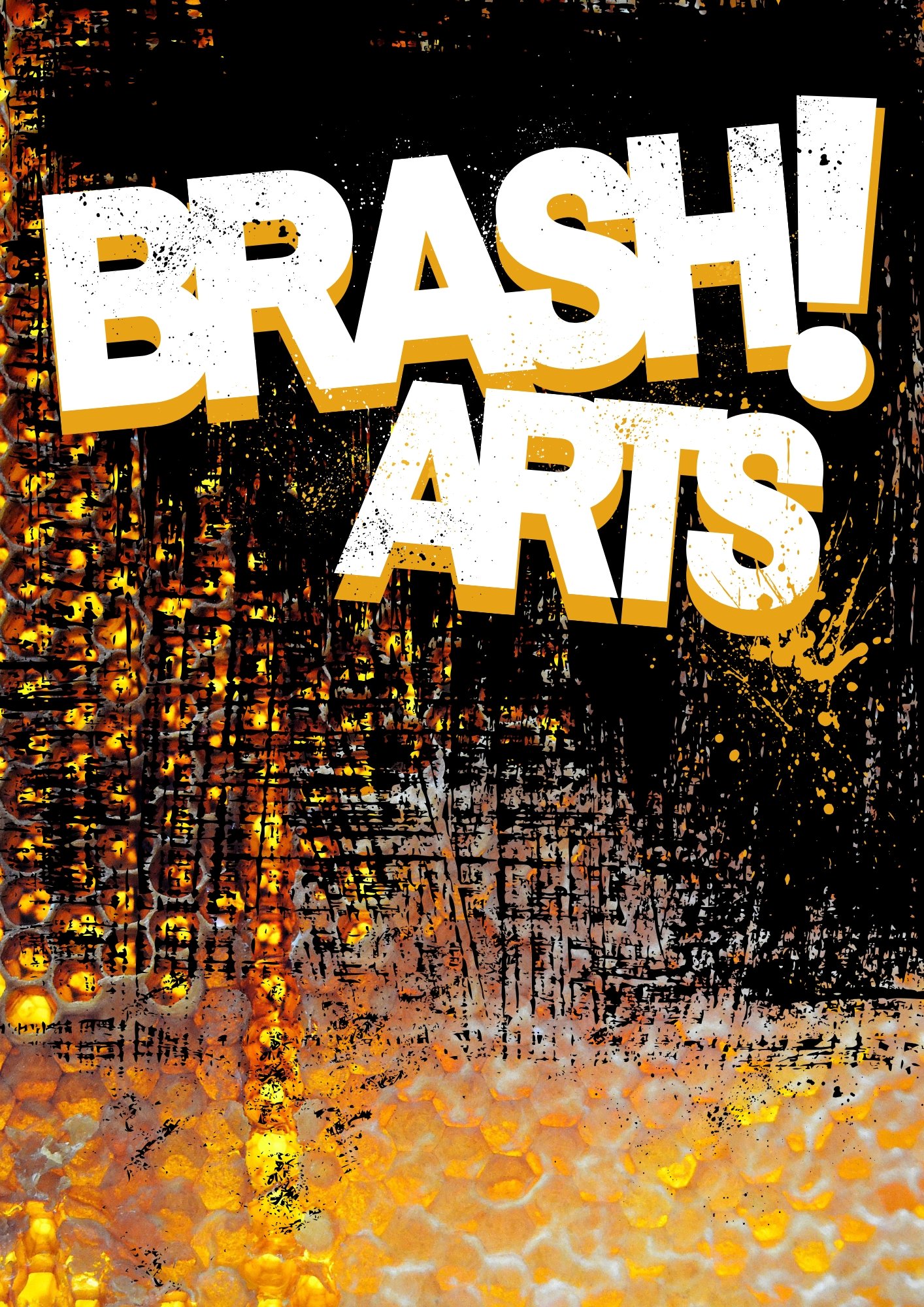 BrashArts_brochure.jpg