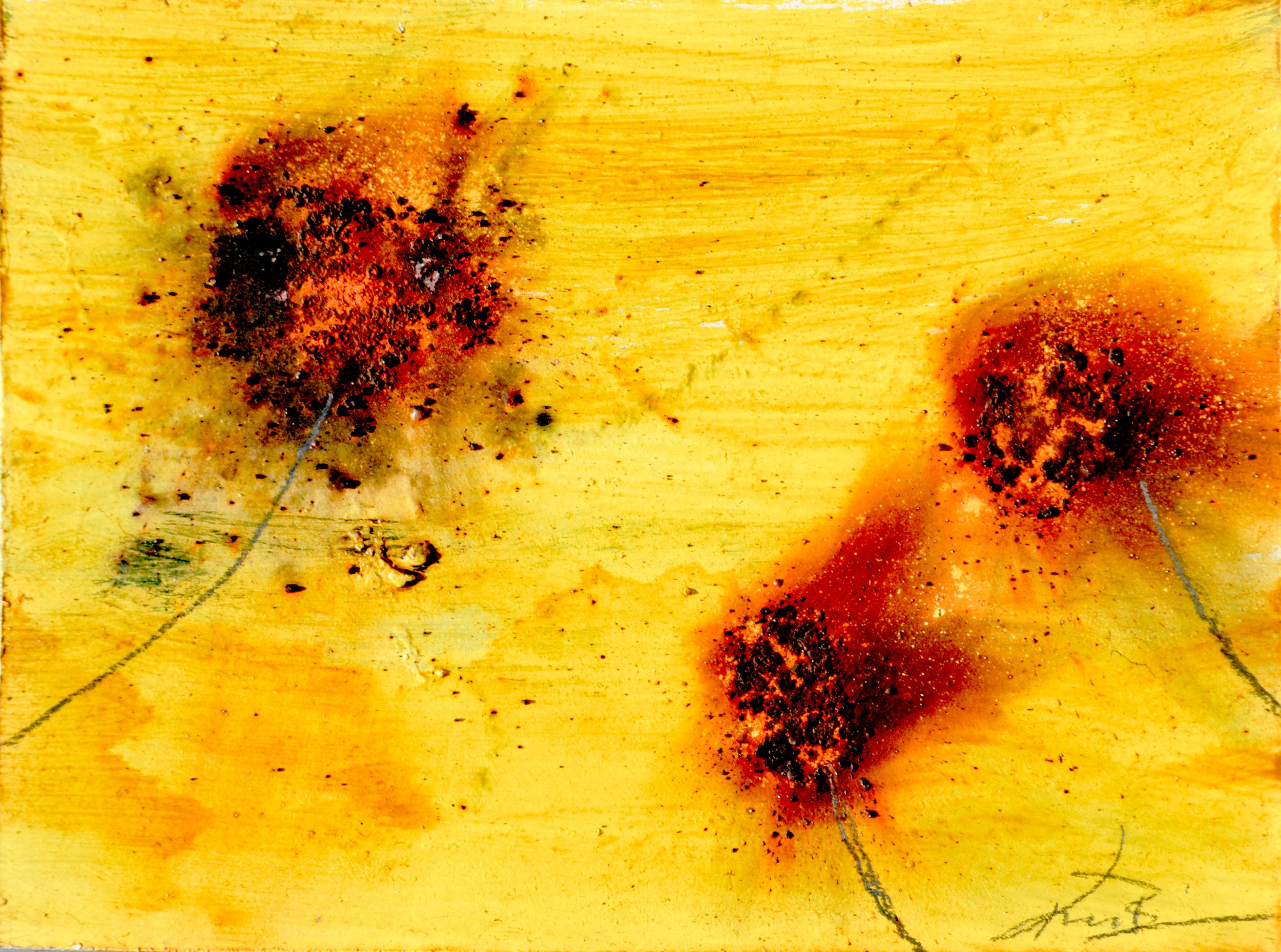 FIRE FLOWERS - XIV (GUNPOWDER DANDELIONS)