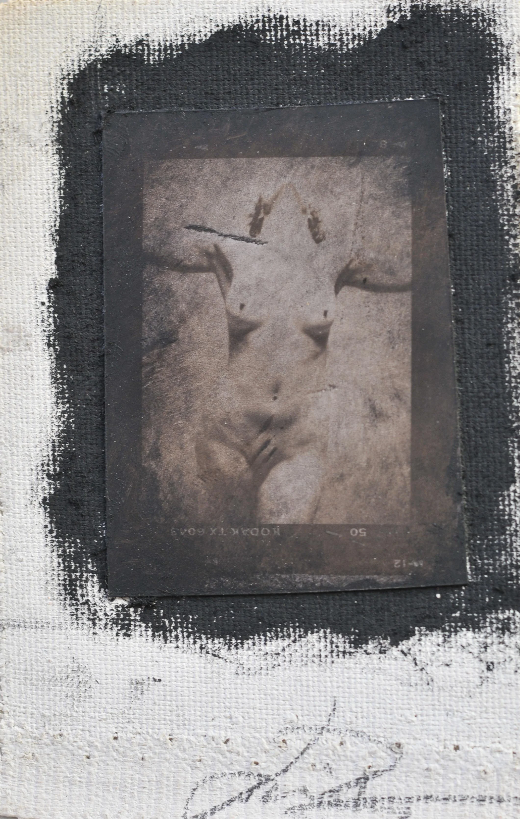 From "The Little Ones"