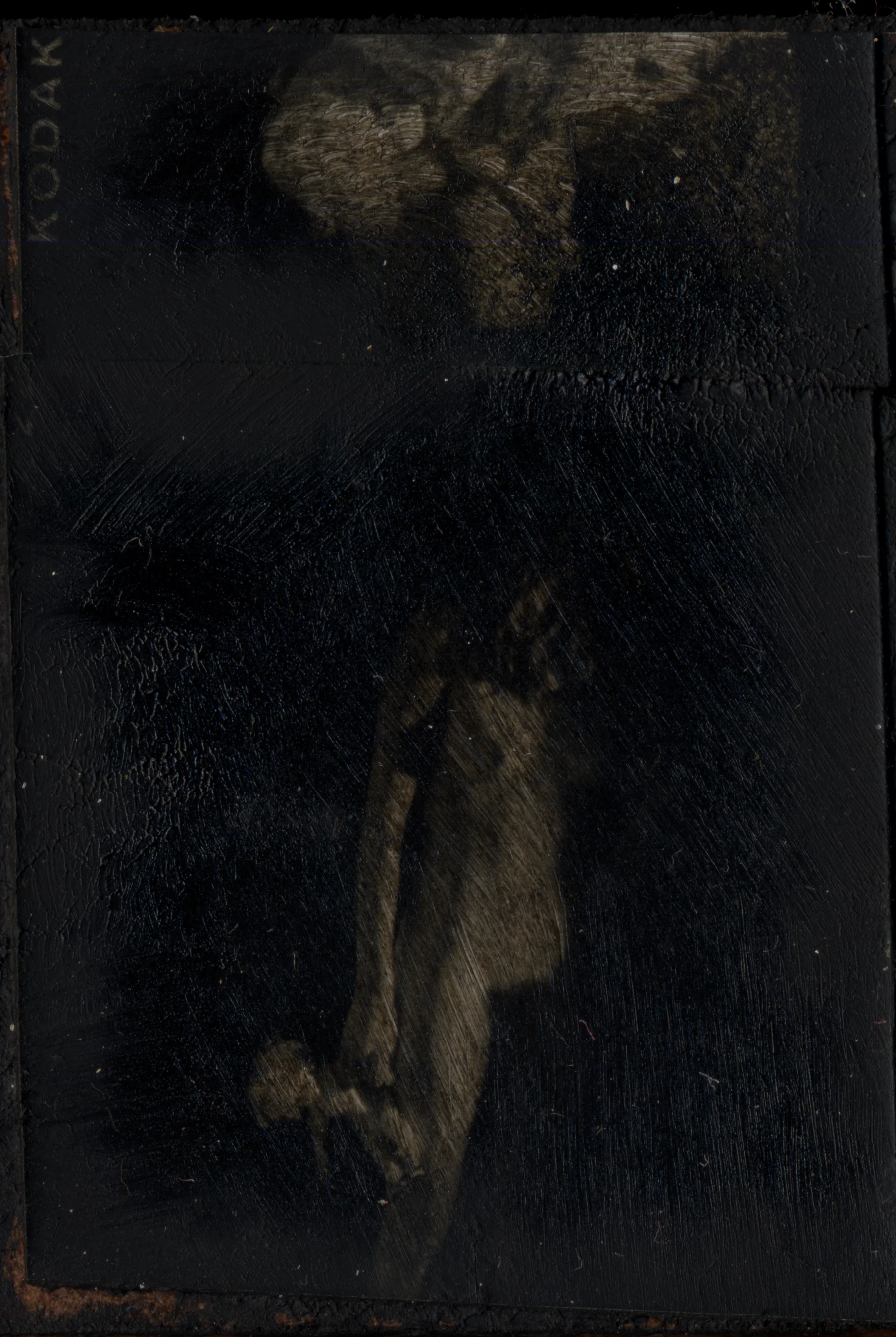 From "The Little Ones"