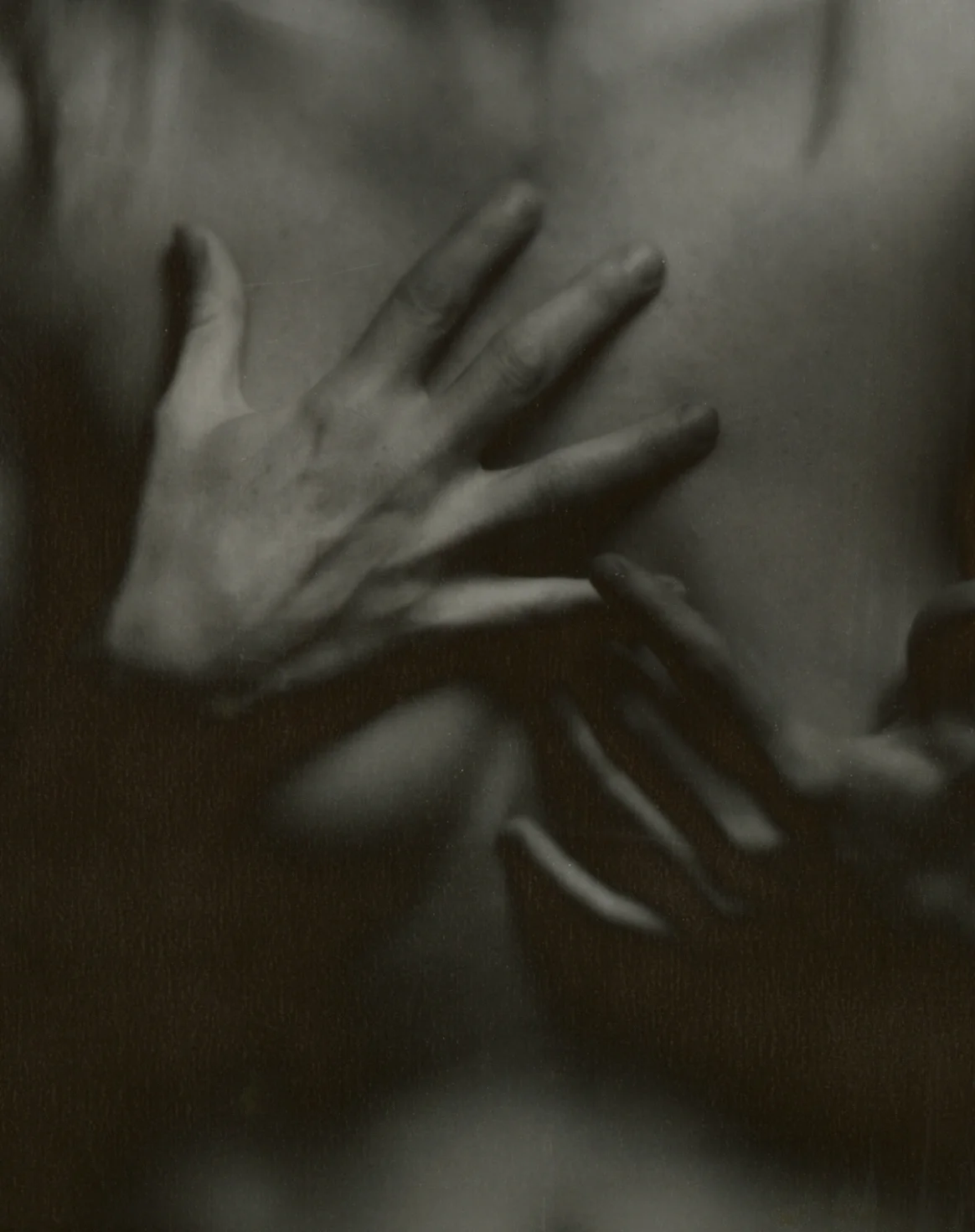 michelle_pol1_tone_crop-1.jpg