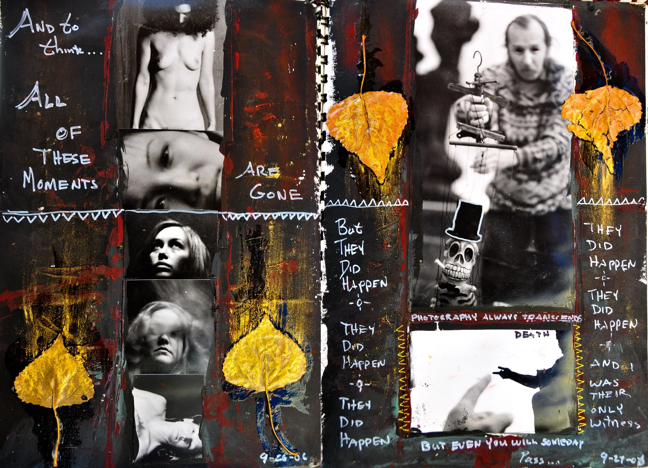 Journal - But They Did Happen