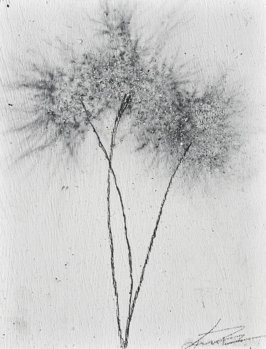 GUNPOWDER DANDELIONS #13 - SOLD