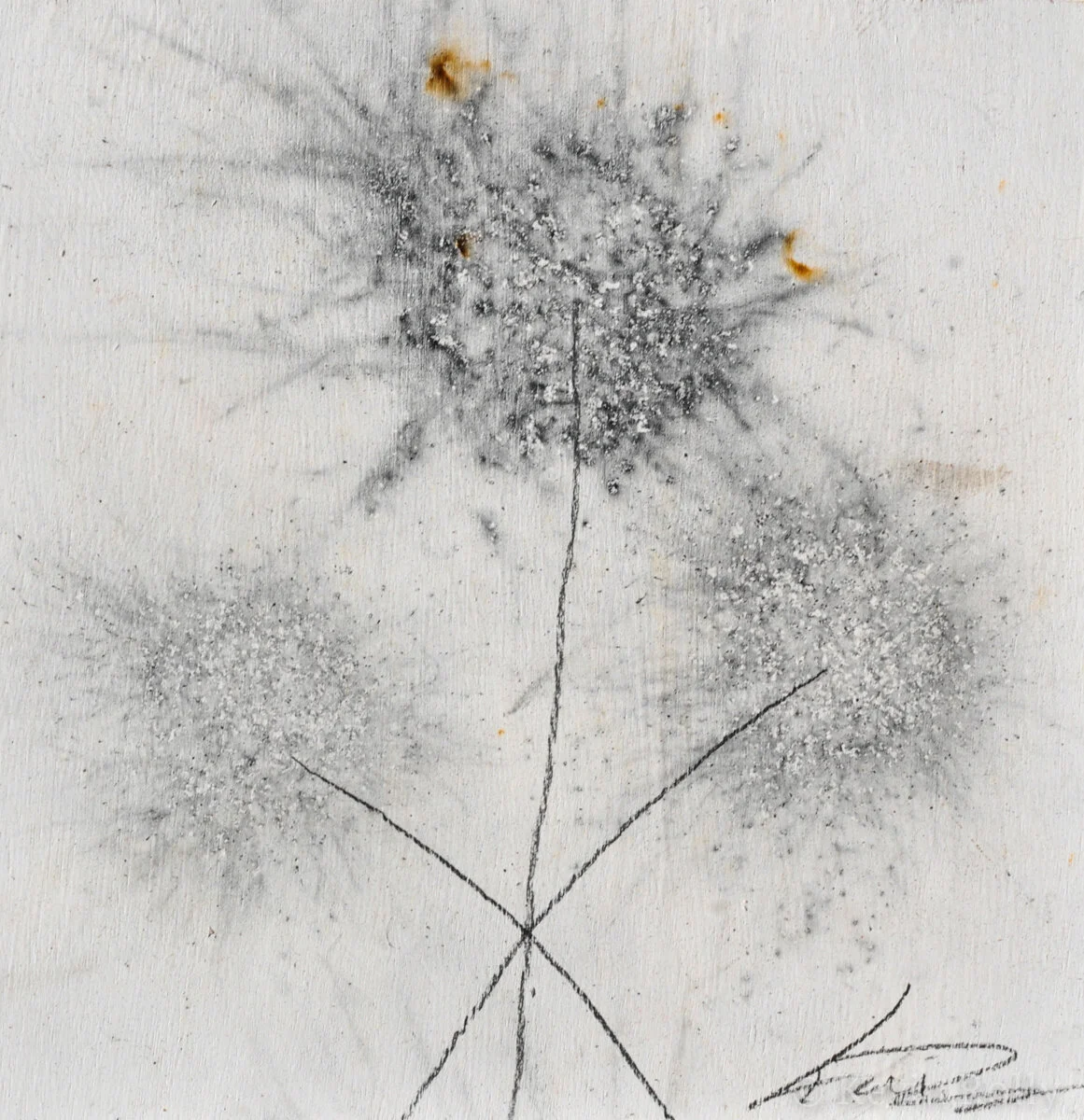 GUNPOWDER DANDELIONS #29 - SOLD