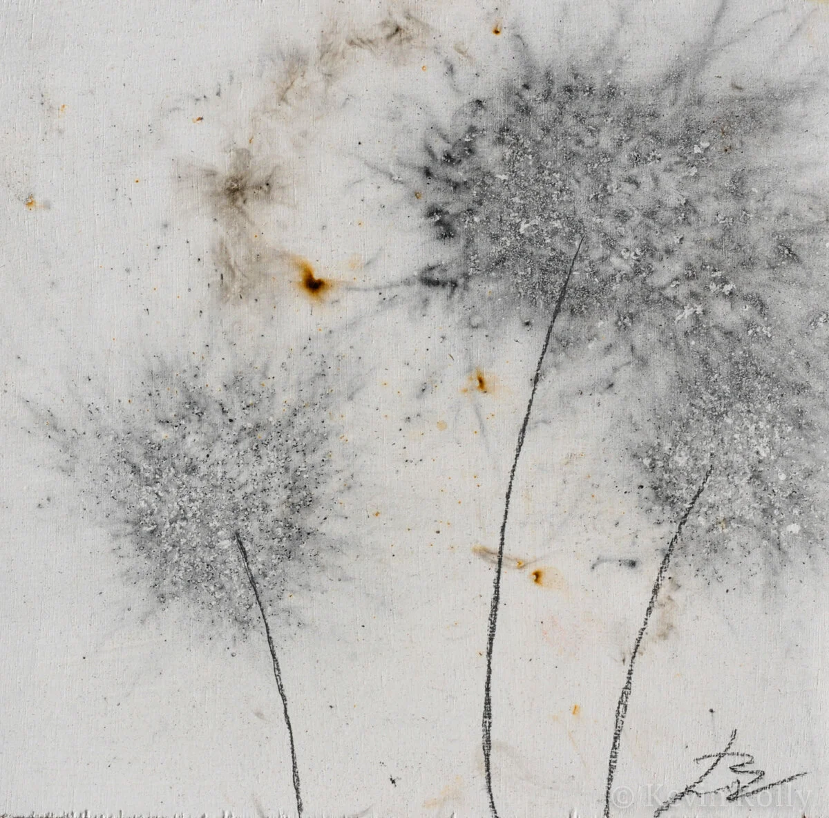 GUNPOWDER DANDELIONS #27 - SOLD