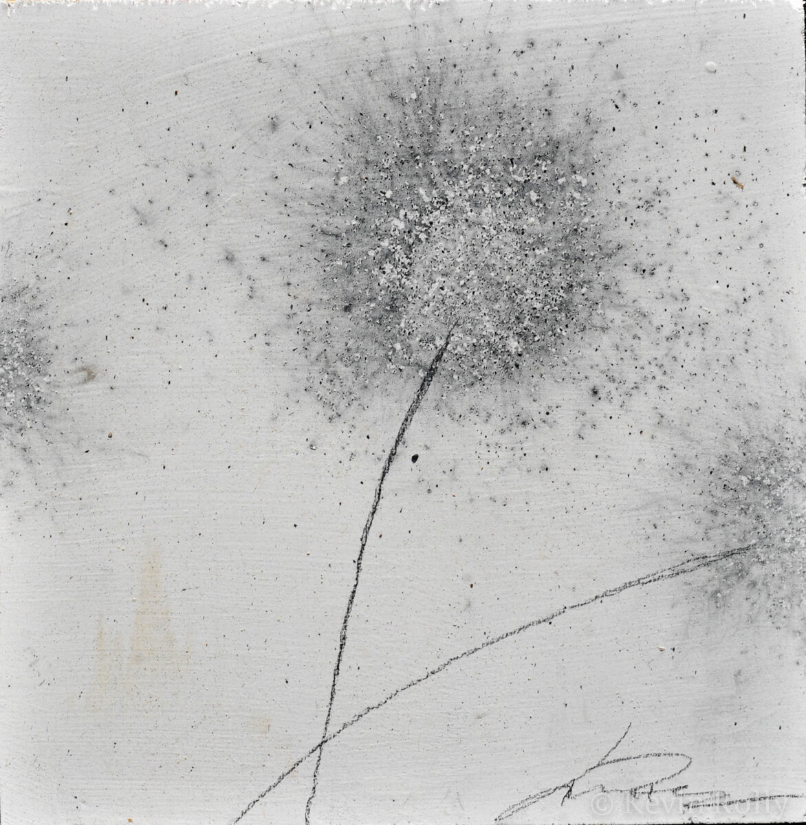 GUNPOWDER DANDELIONS #16 - SOLD
