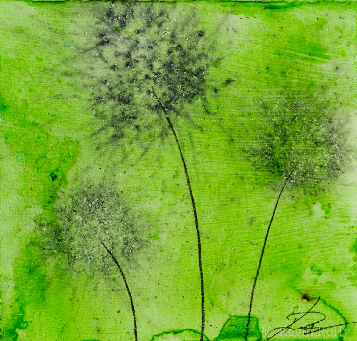 GUNPOWDER DANDELIONS #43 - SOLD