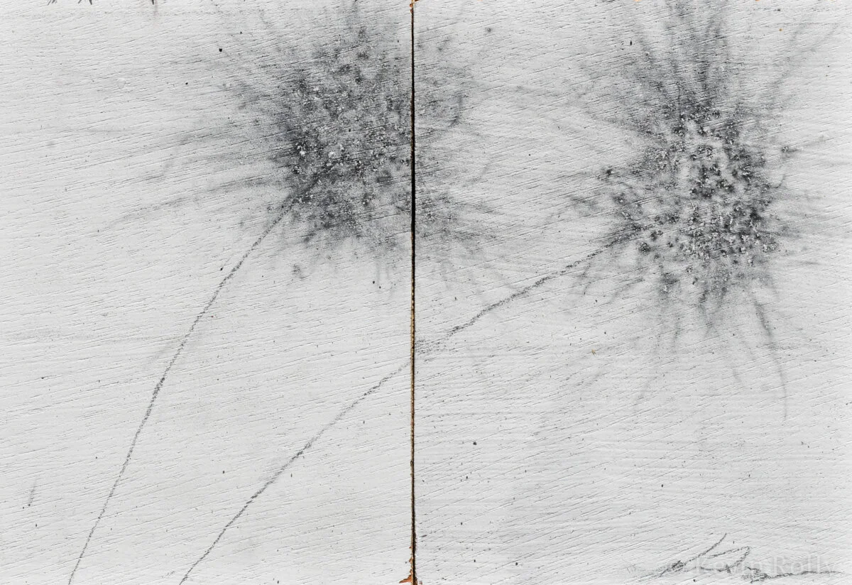 GUNPOWDER DANDELIONS #22 - SOLD