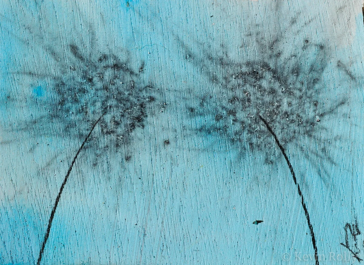 GUNPOWDER DANDELIONS #42 - SOLD