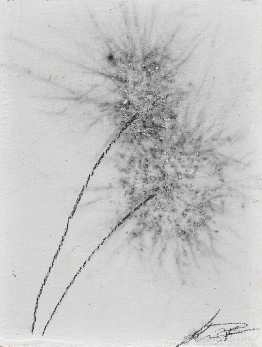 GUNPOWDER DANDELIONS #5 - SOLD