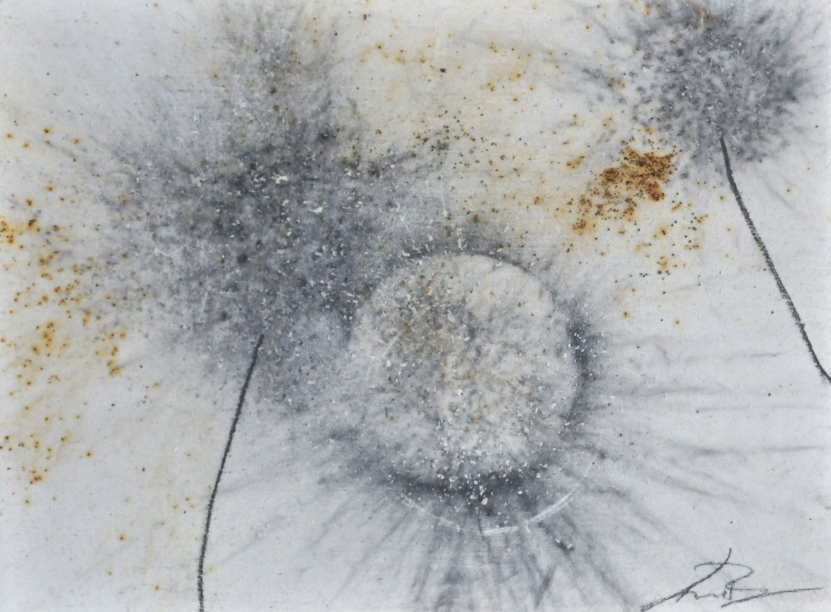 GUNPOWDER DANDELIONS #59 - NEW 