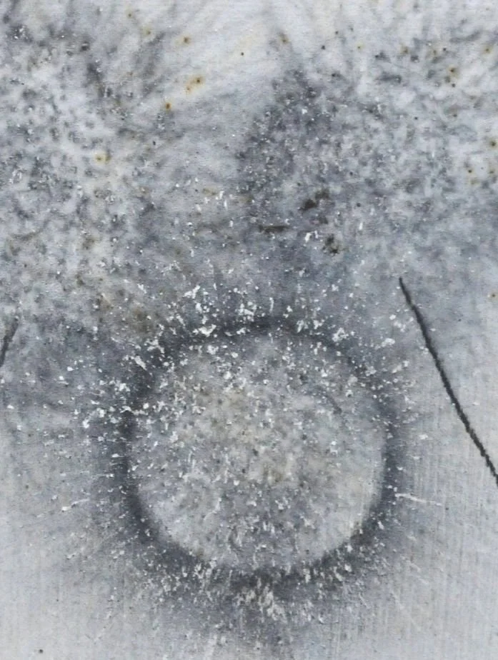 KMO_1087-GD-61W.jpg