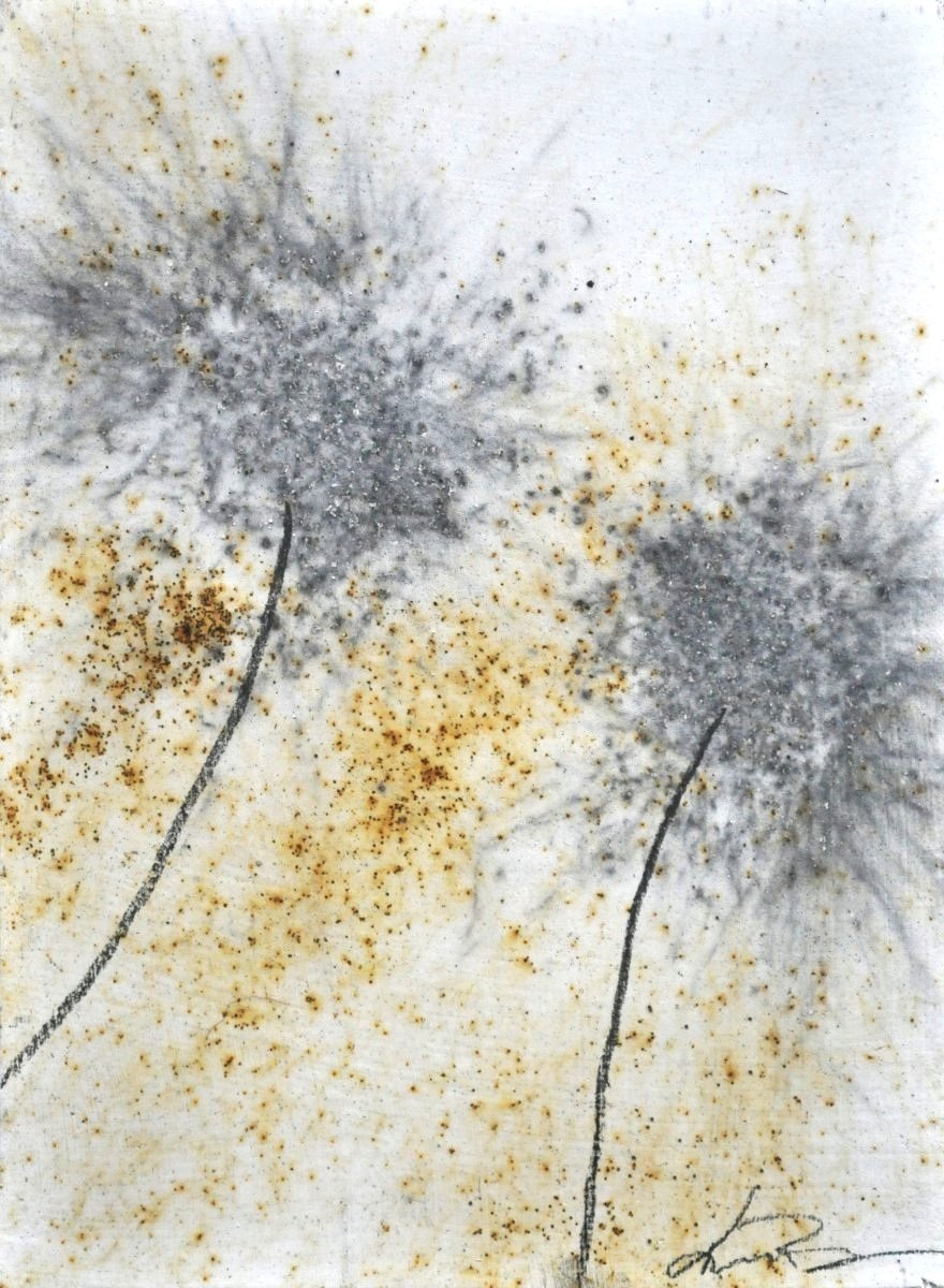 GUNPOWDER DANDELIONS #58 - SOLD
