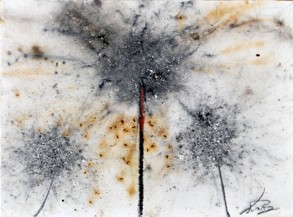 GUNPOWDER DANDELIONS - DELTA 6