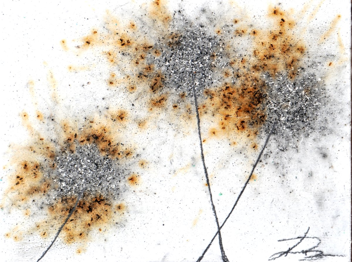 GUNPOWDER DANDELIONS - DELTA 7 (SOLD)