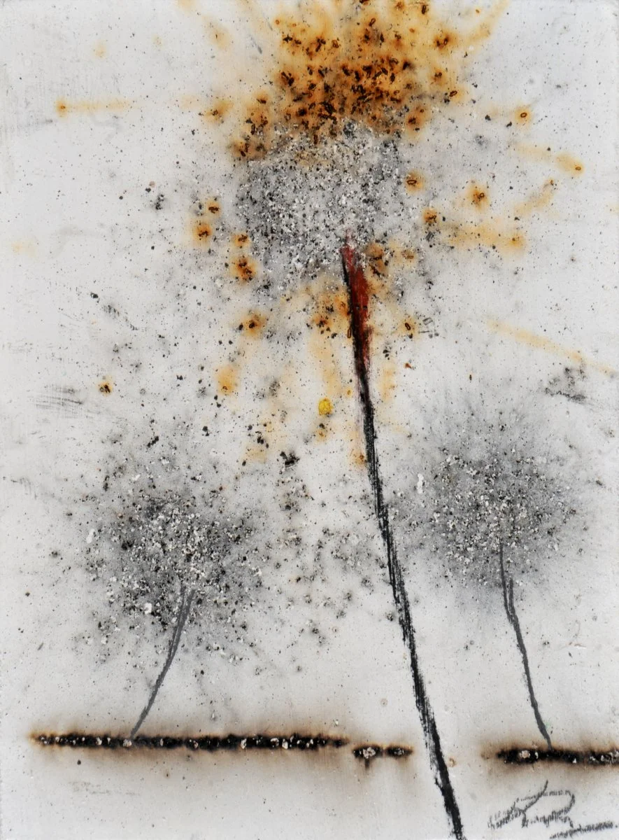 GUNPOWDER DANDELIONS - DELTA 10 (SOLD)
