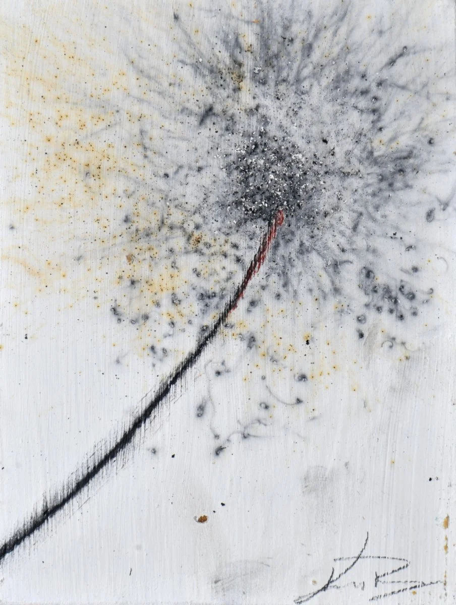 GUNPOWDER DANDELIONS - DELTA 16