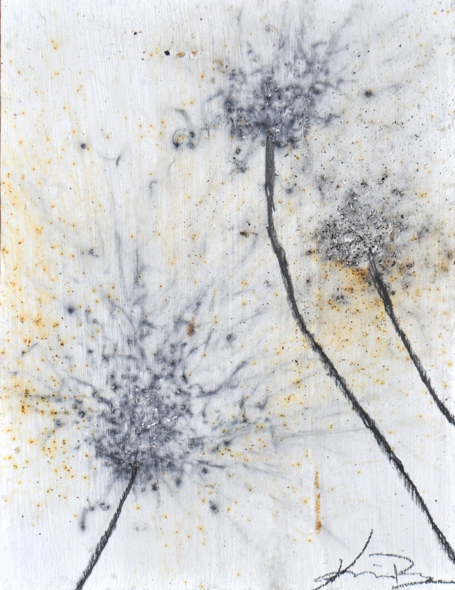 GUNPOWDER DANDELIONS - DELTA 17 (SOLD)