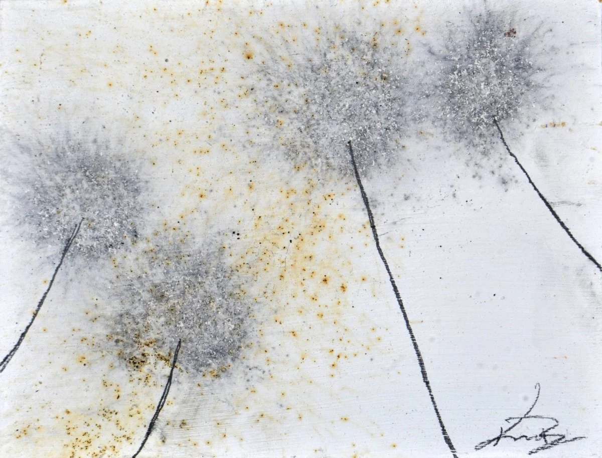 GUNPOWDER DANDELIONS - DELTA 18