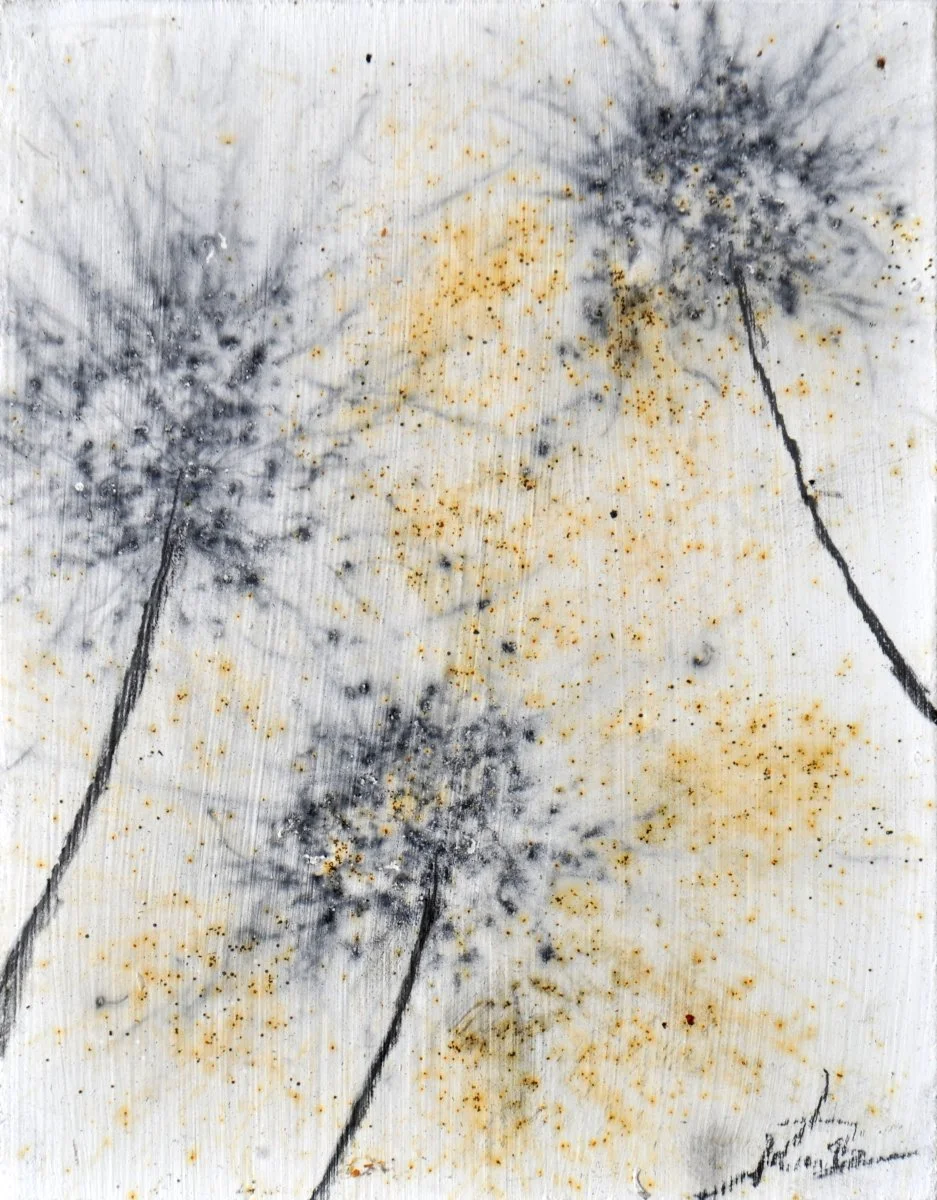 GUNPOWDER DANDELIONS - DELTA 15 (SOLD)