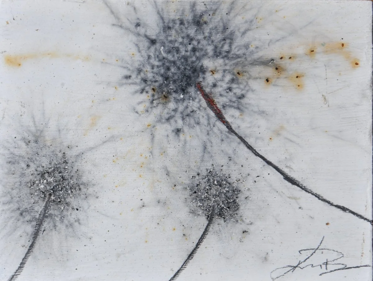 GUNPOWDER DANDELIONS - DELTA 11