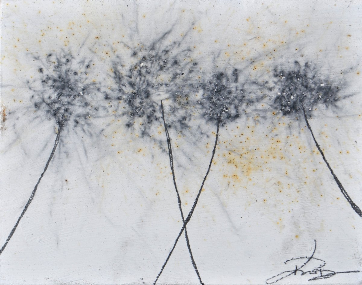 GUNPOWDER DANDELIONS - DELTA 12