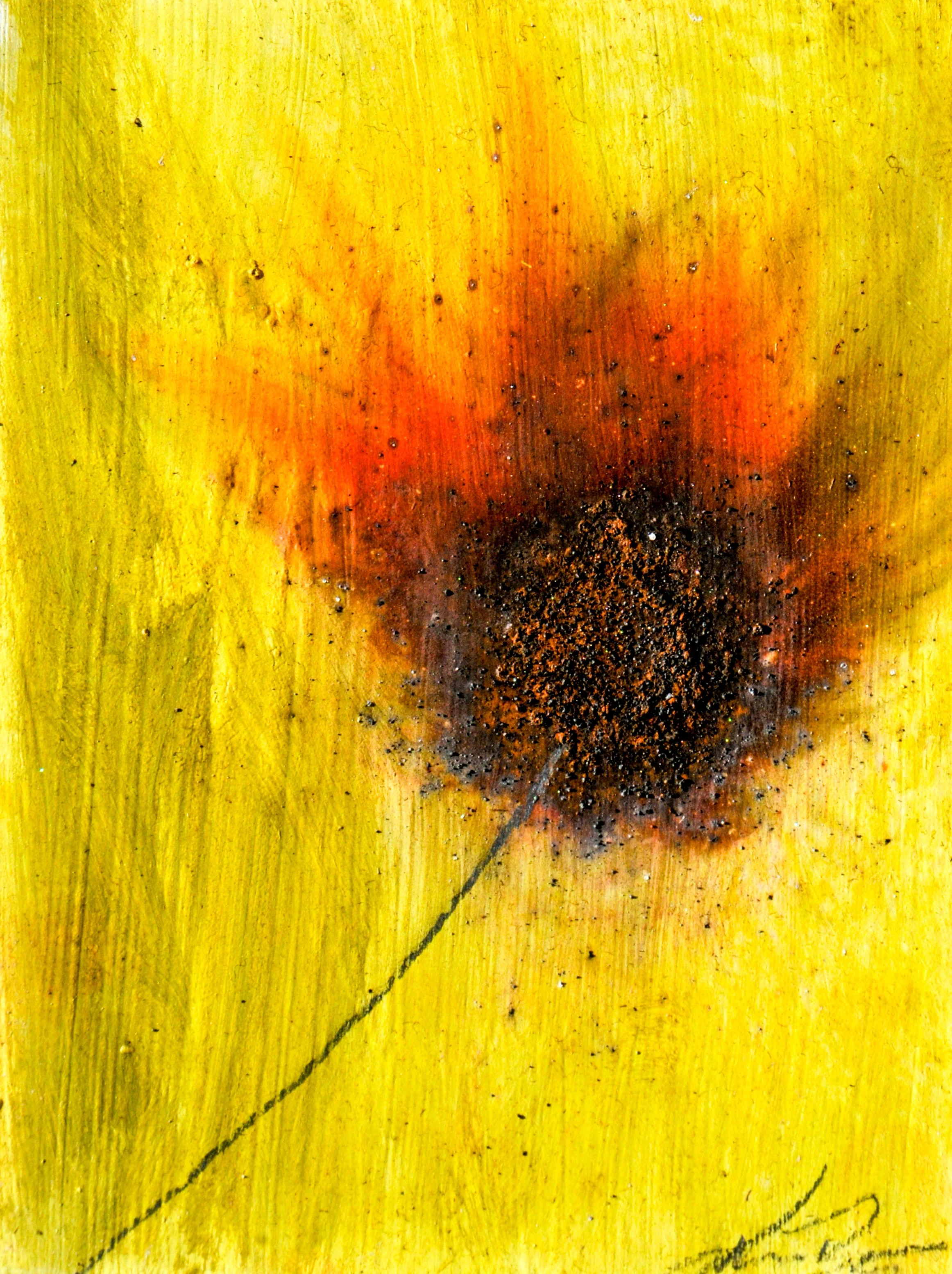FIRE FLOWERS - XXXIV (GUNPOWDER DANDELIONS)