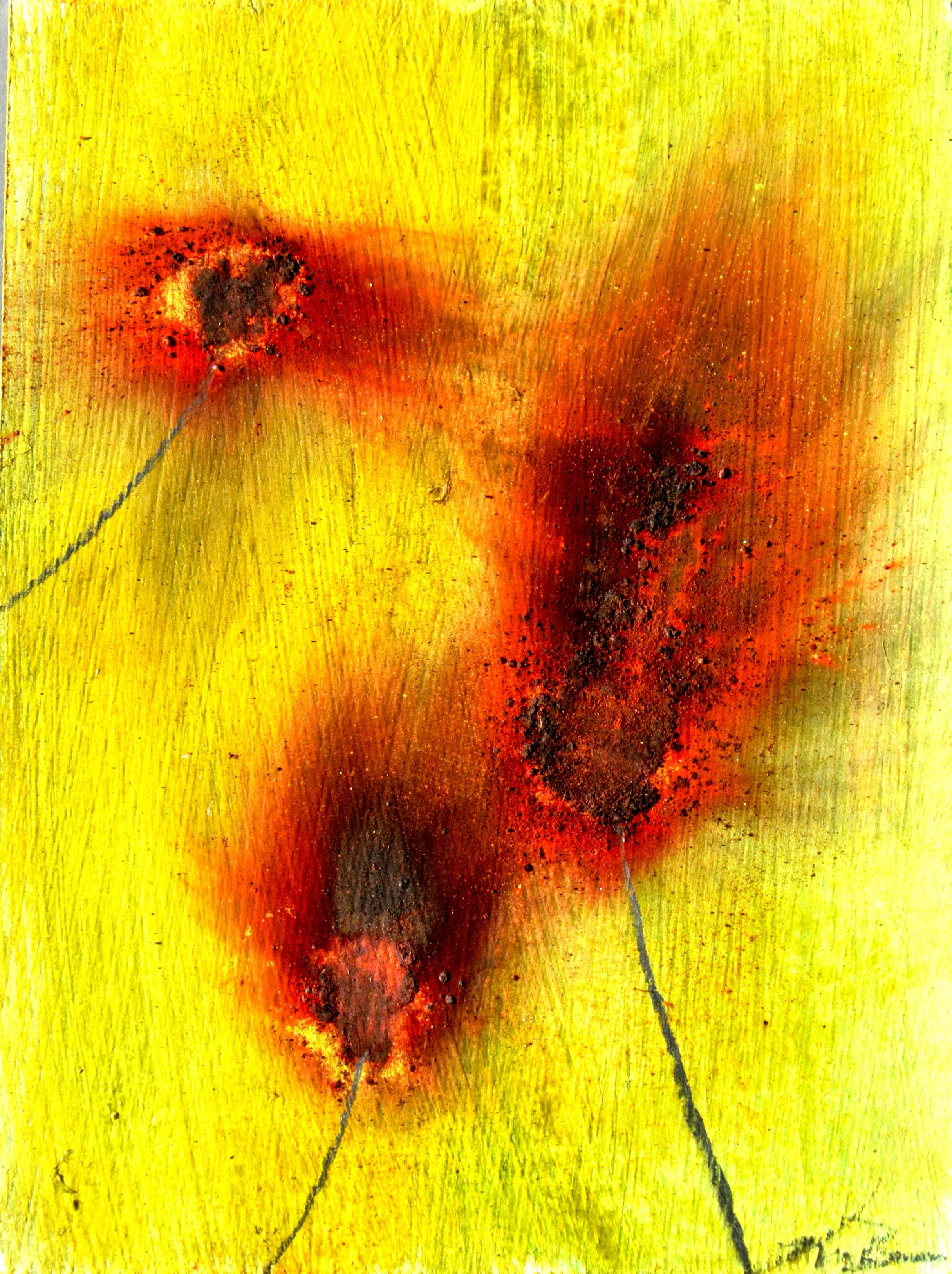 FIRE FLOWERS - XVI (GUNPOWDER DANDELIONS)