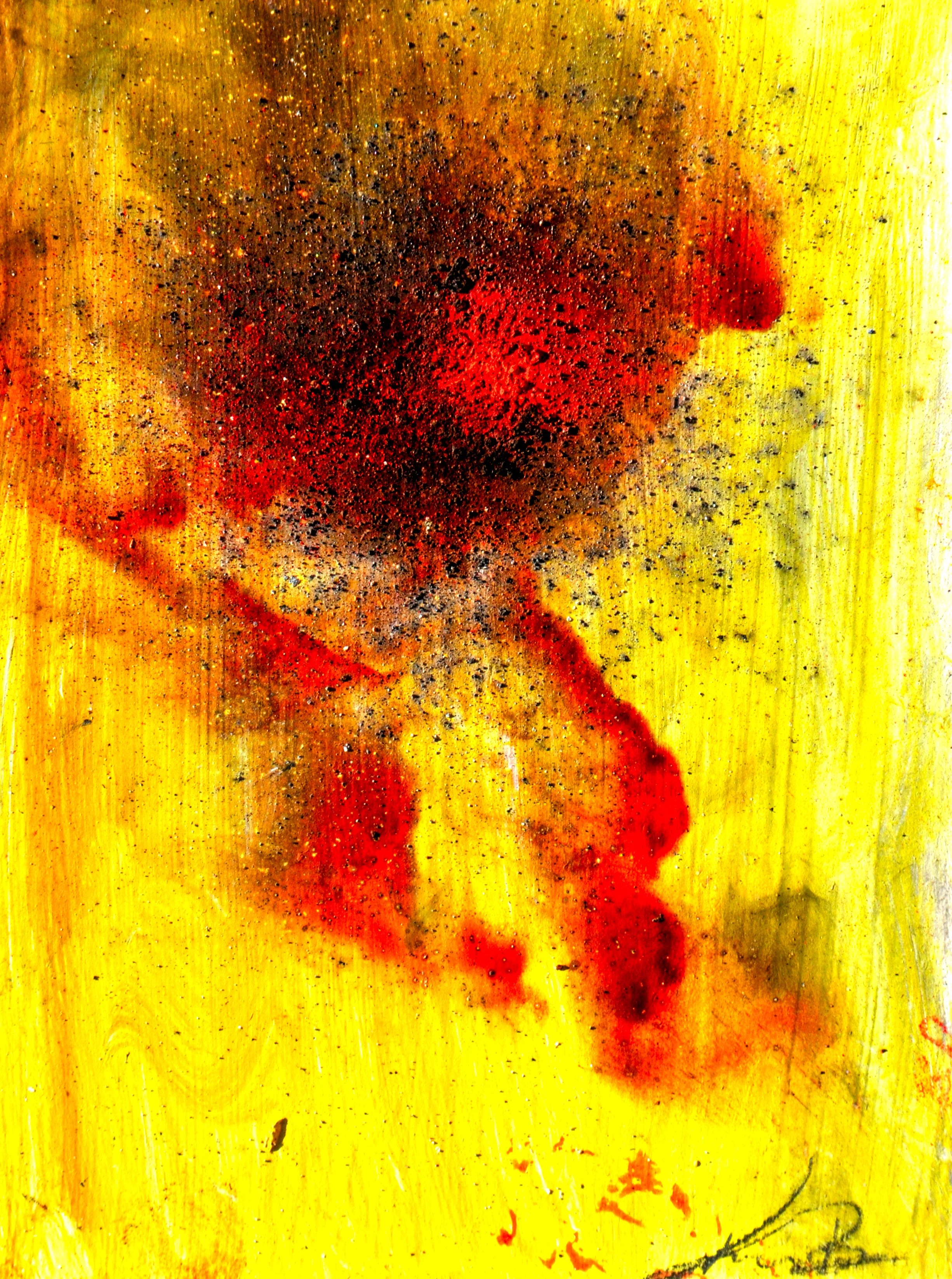 FIRE FLOWERS - XXII (GUNPOWDER DANDELIONS)