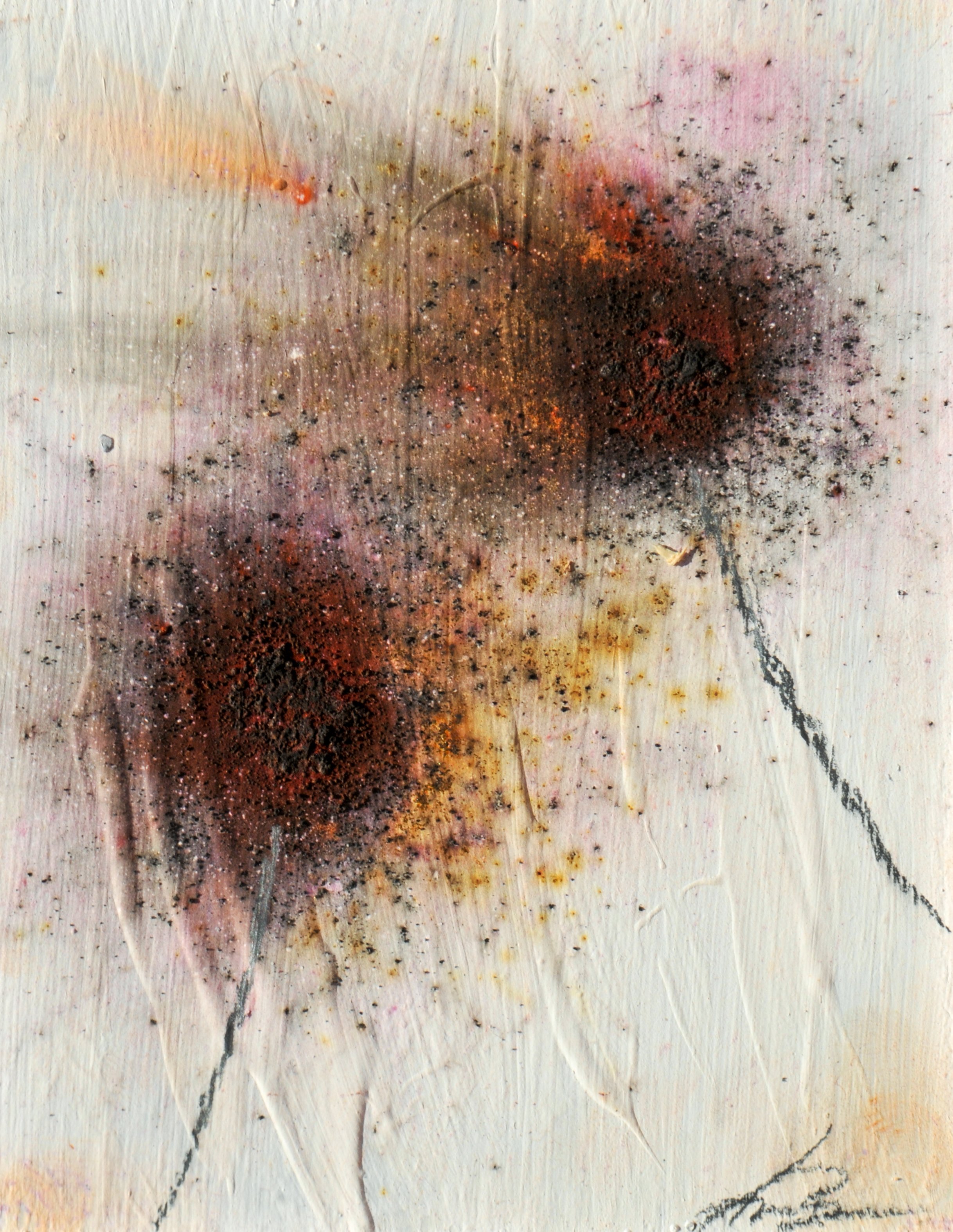 FIRE FLOWERS - XXXII (GUNPOWDER DANDELIONS)