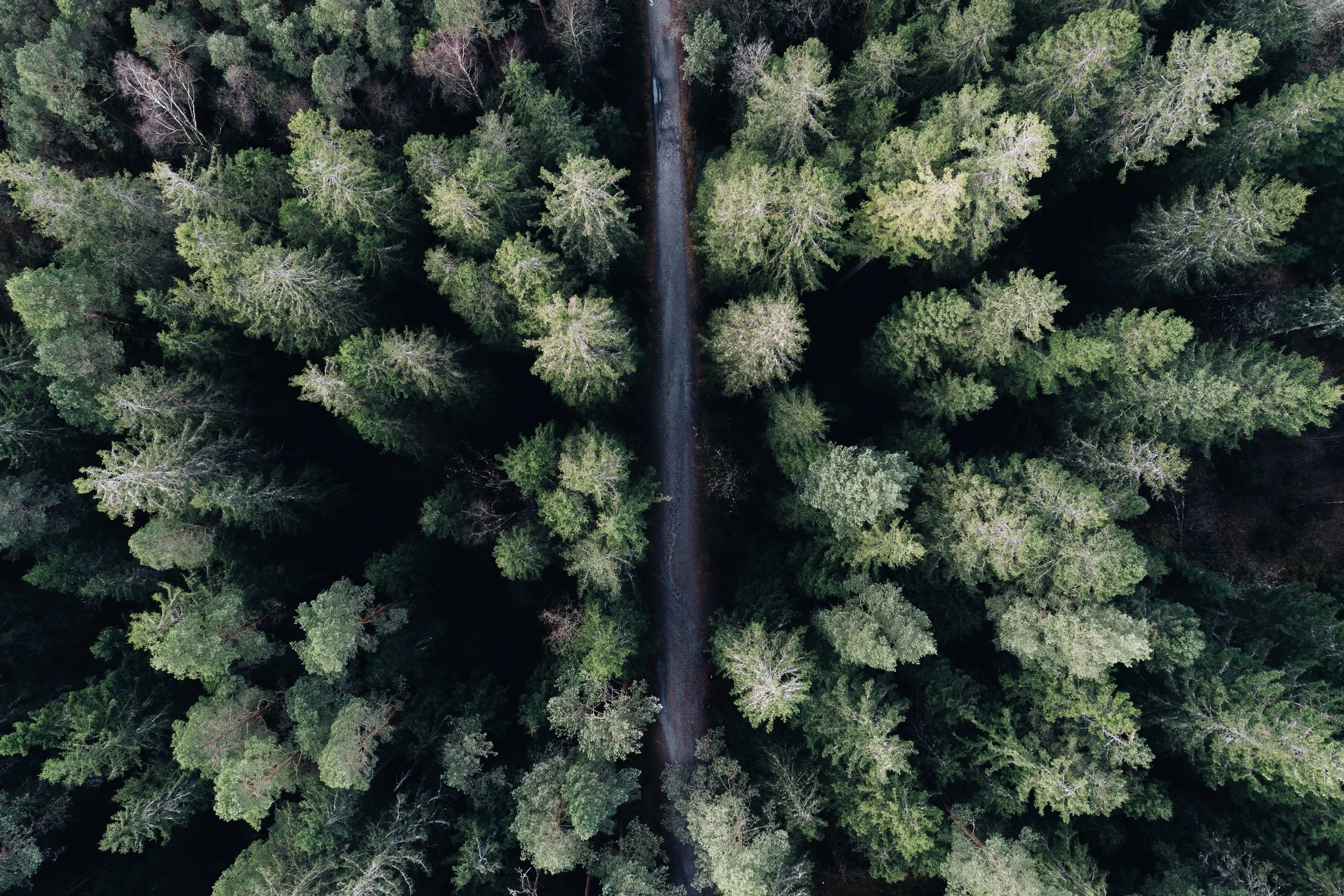 09122017-DJI_0122.jpg