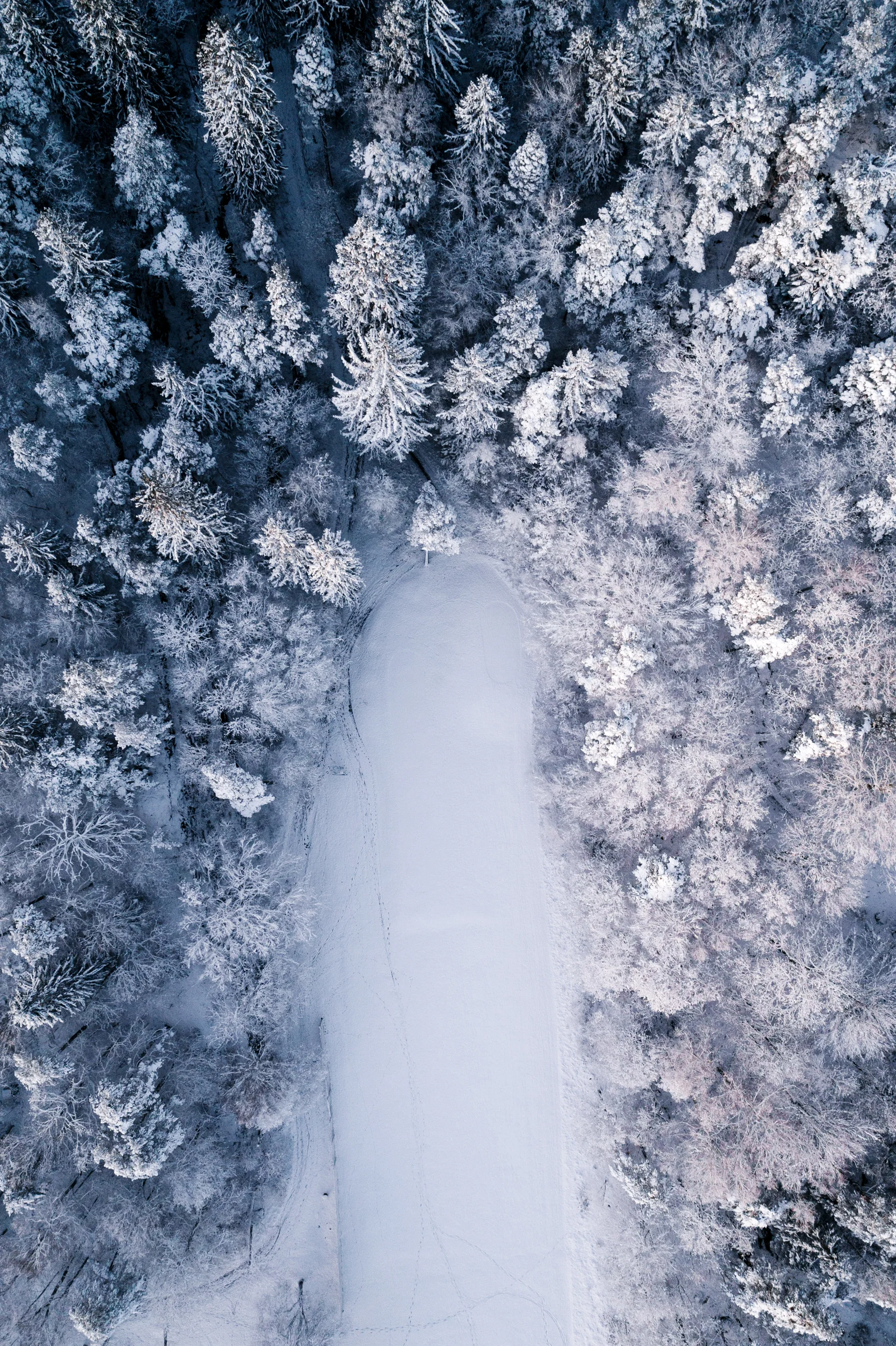 12122017-DJI_0337.jpg
