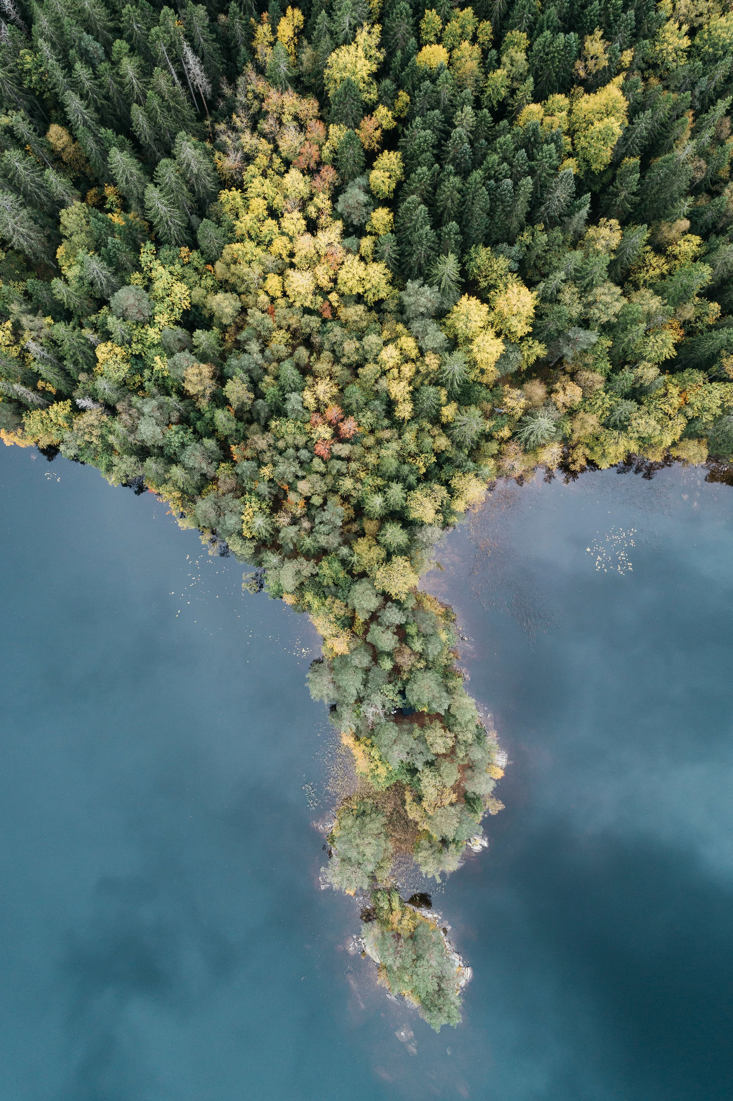 06102018-DJI_0453.jpg