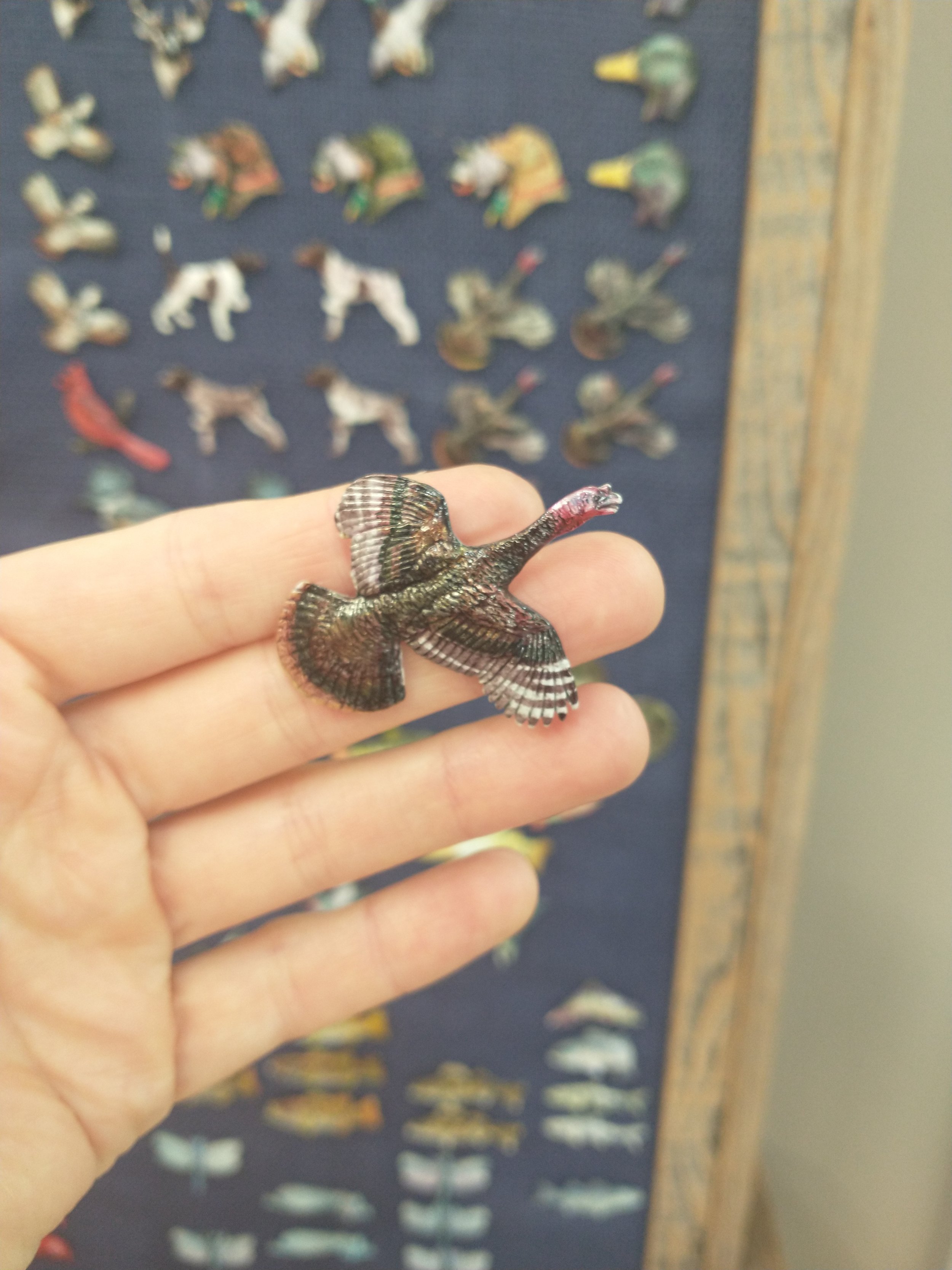 Assorted Wildlife Pins