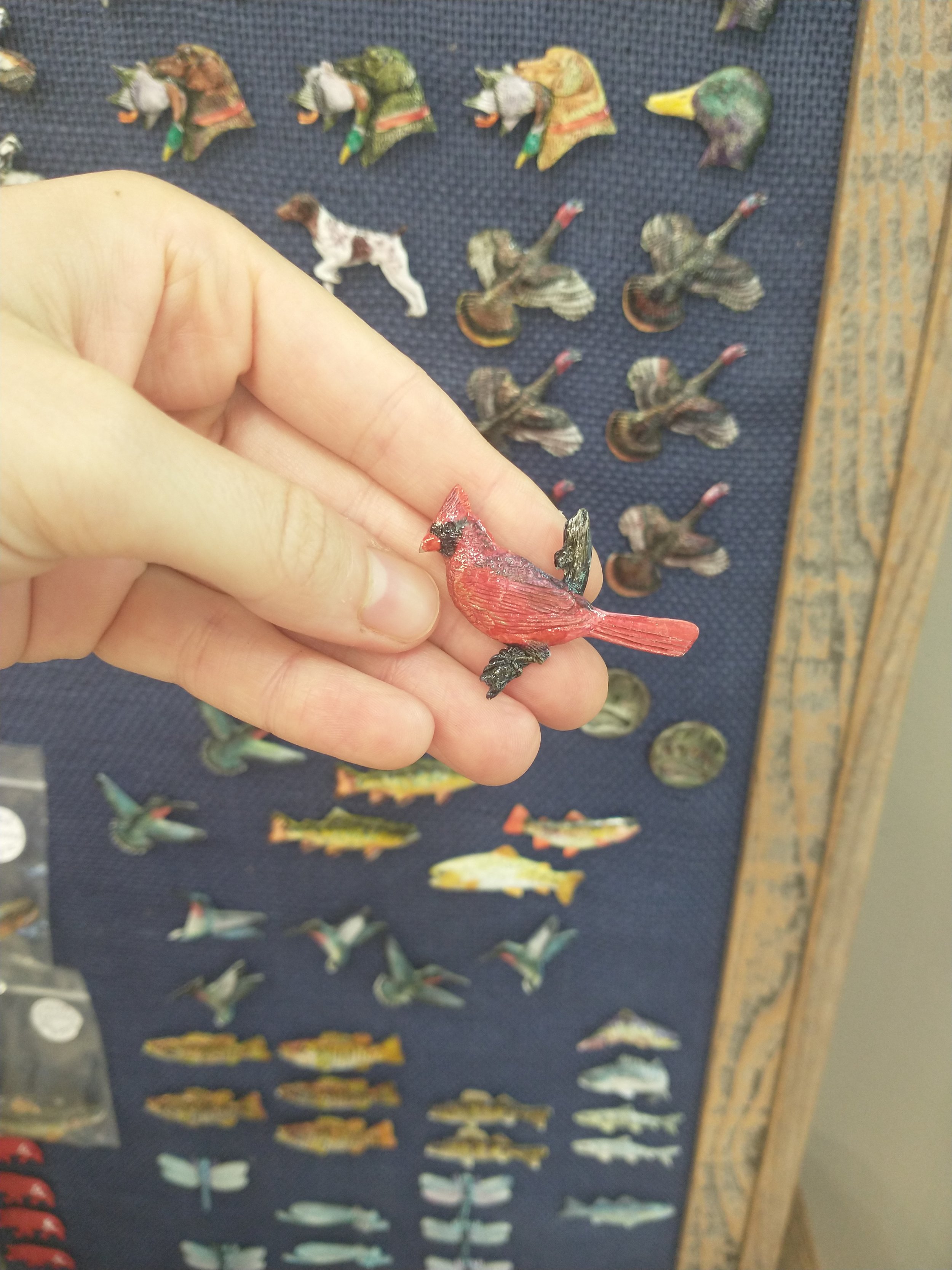 Cardinal Pin .jpg