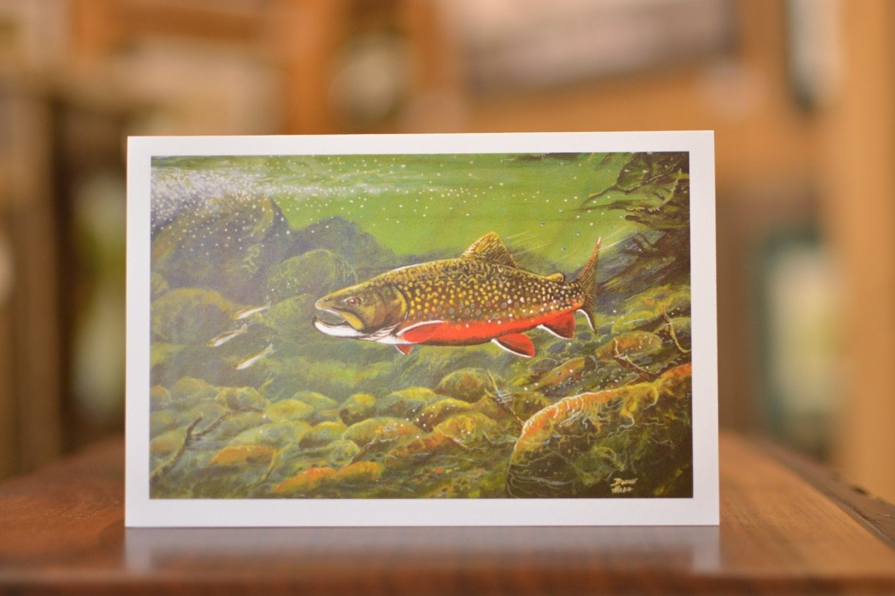 Trout Portrait Notecards (4x6)
