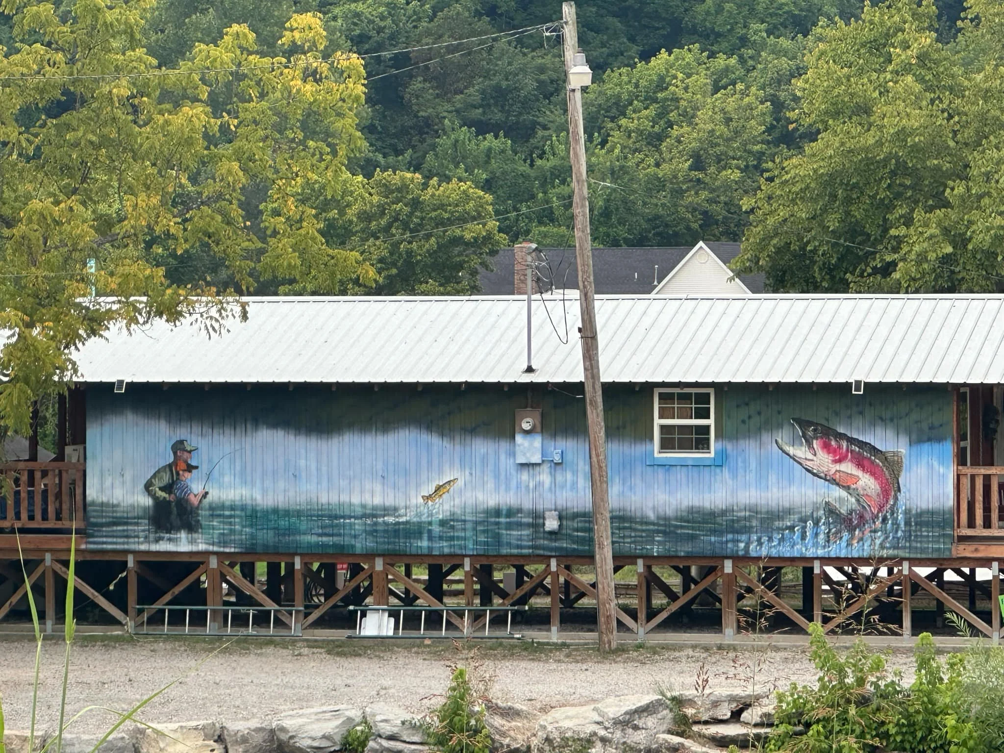 Duane hada's mural on the cotter trout dock in cotter ar