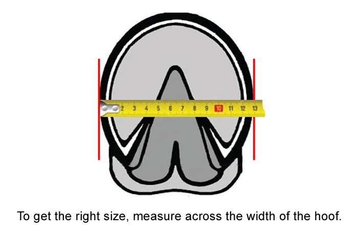 Hoof_Width_1.jpg