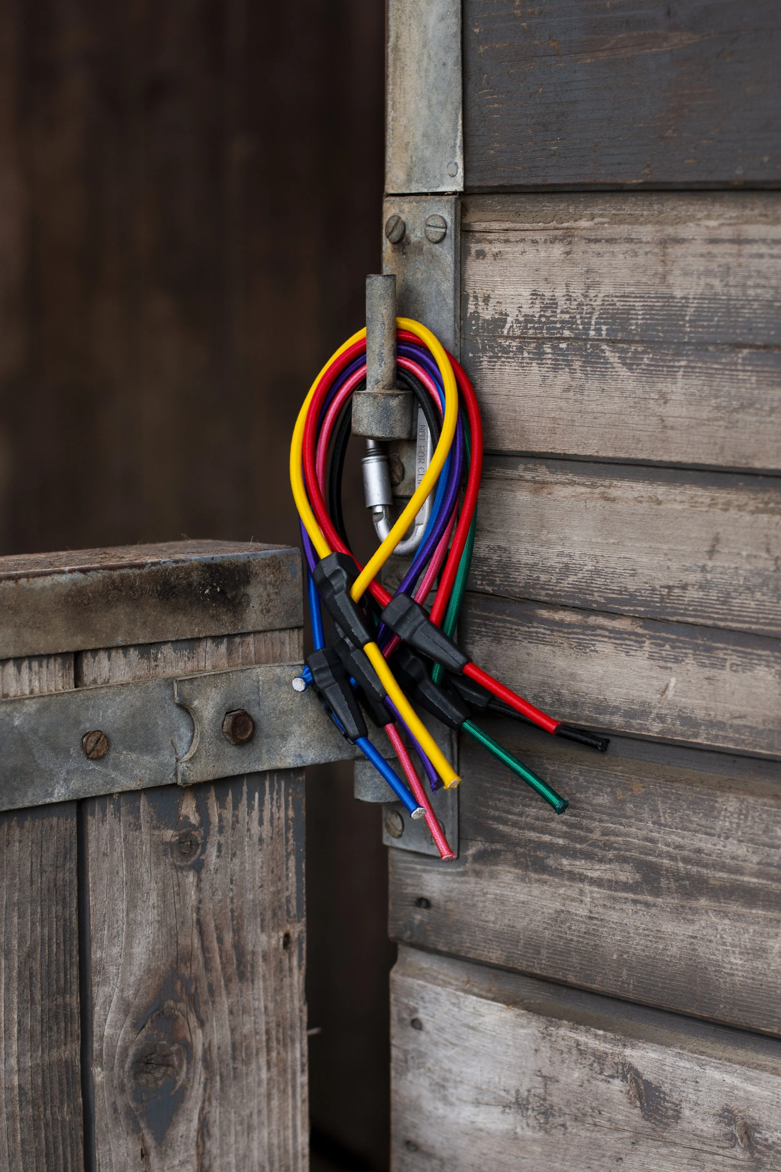 quick release tie for horses
