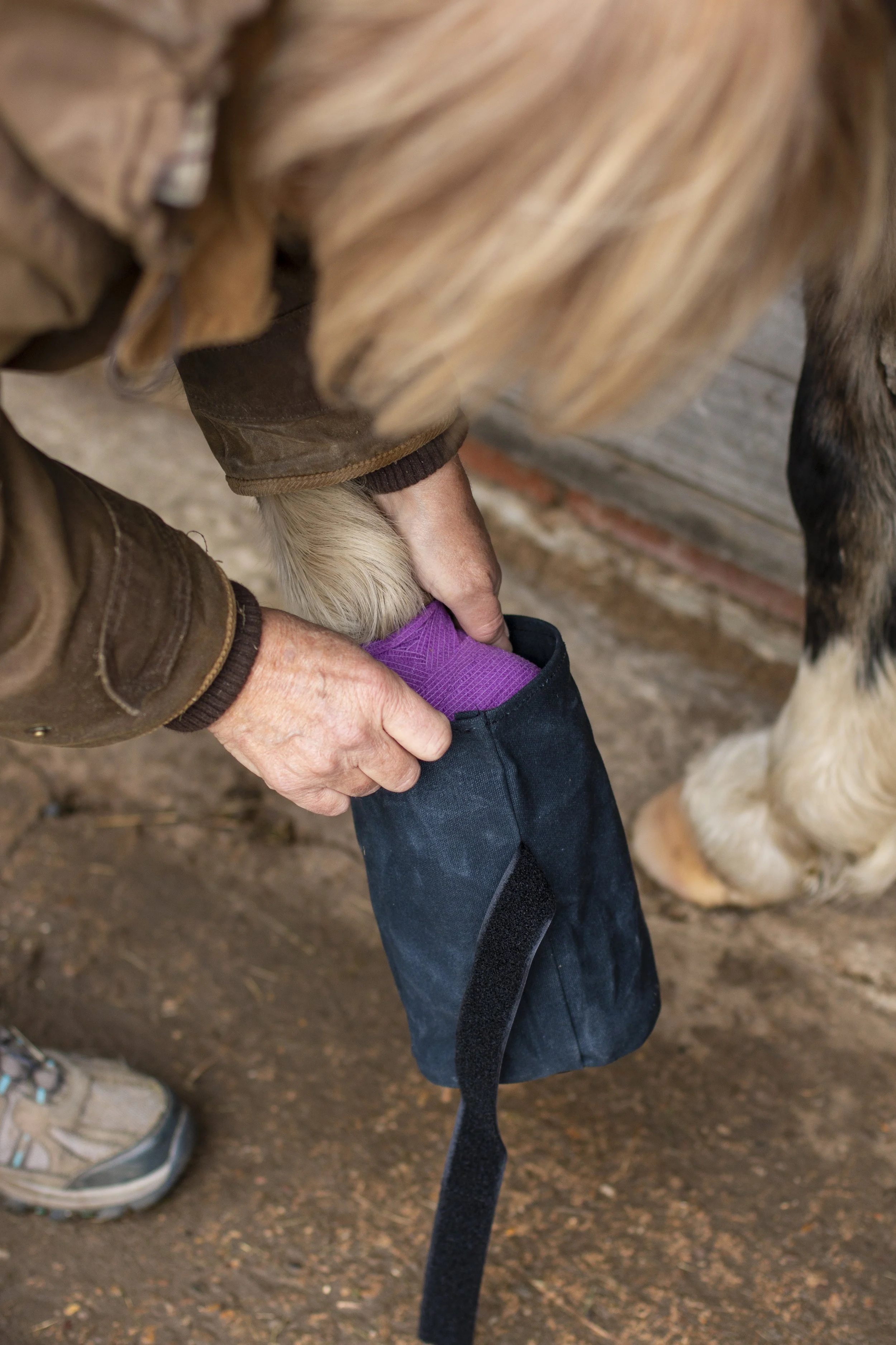 poultice boot for turnout