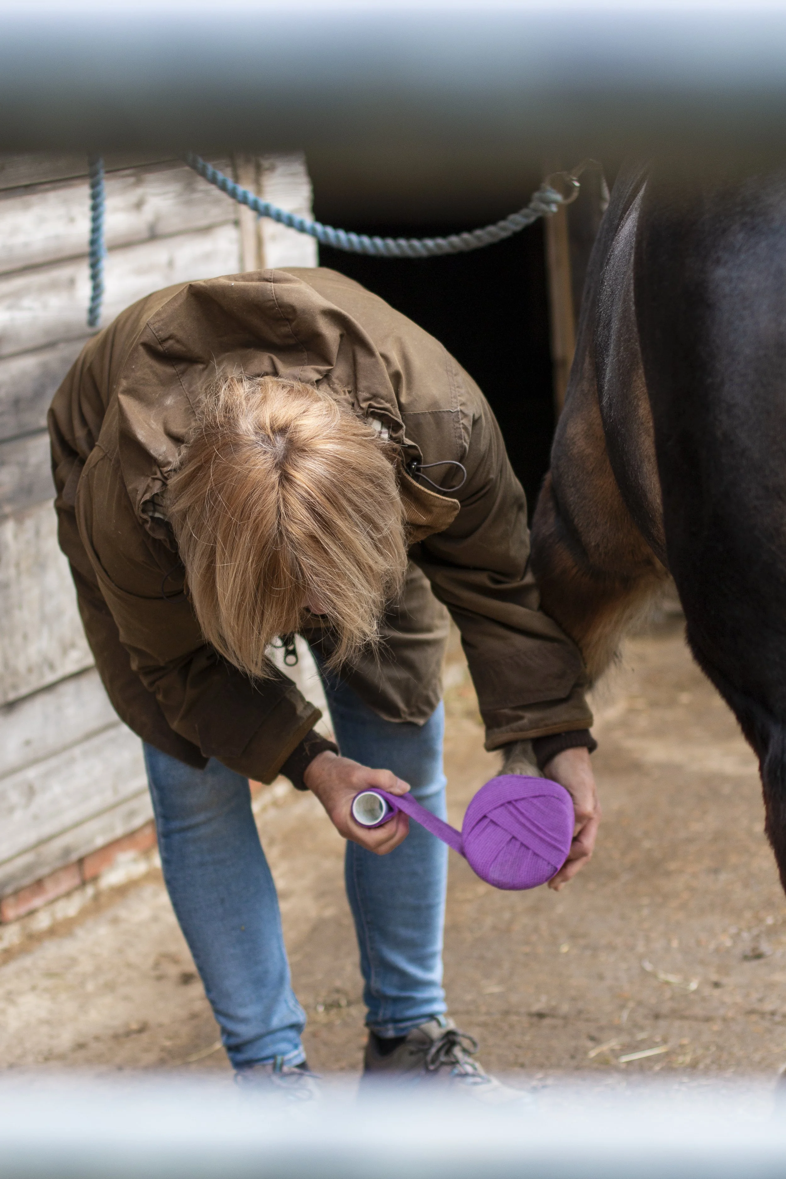 poultice boot for pony