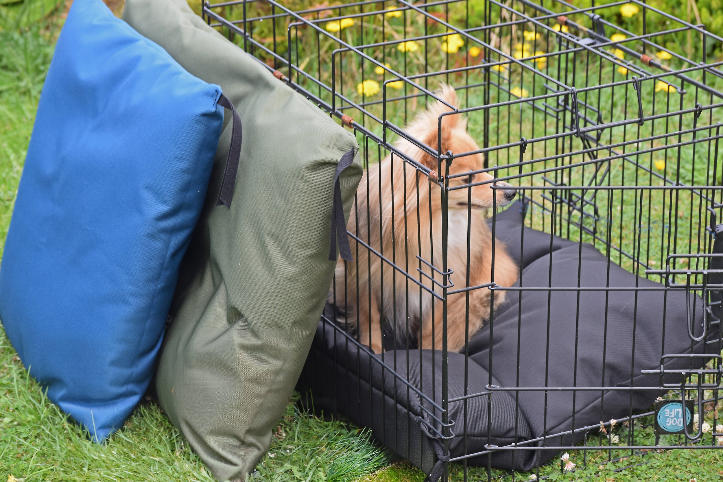crate mats for dogs