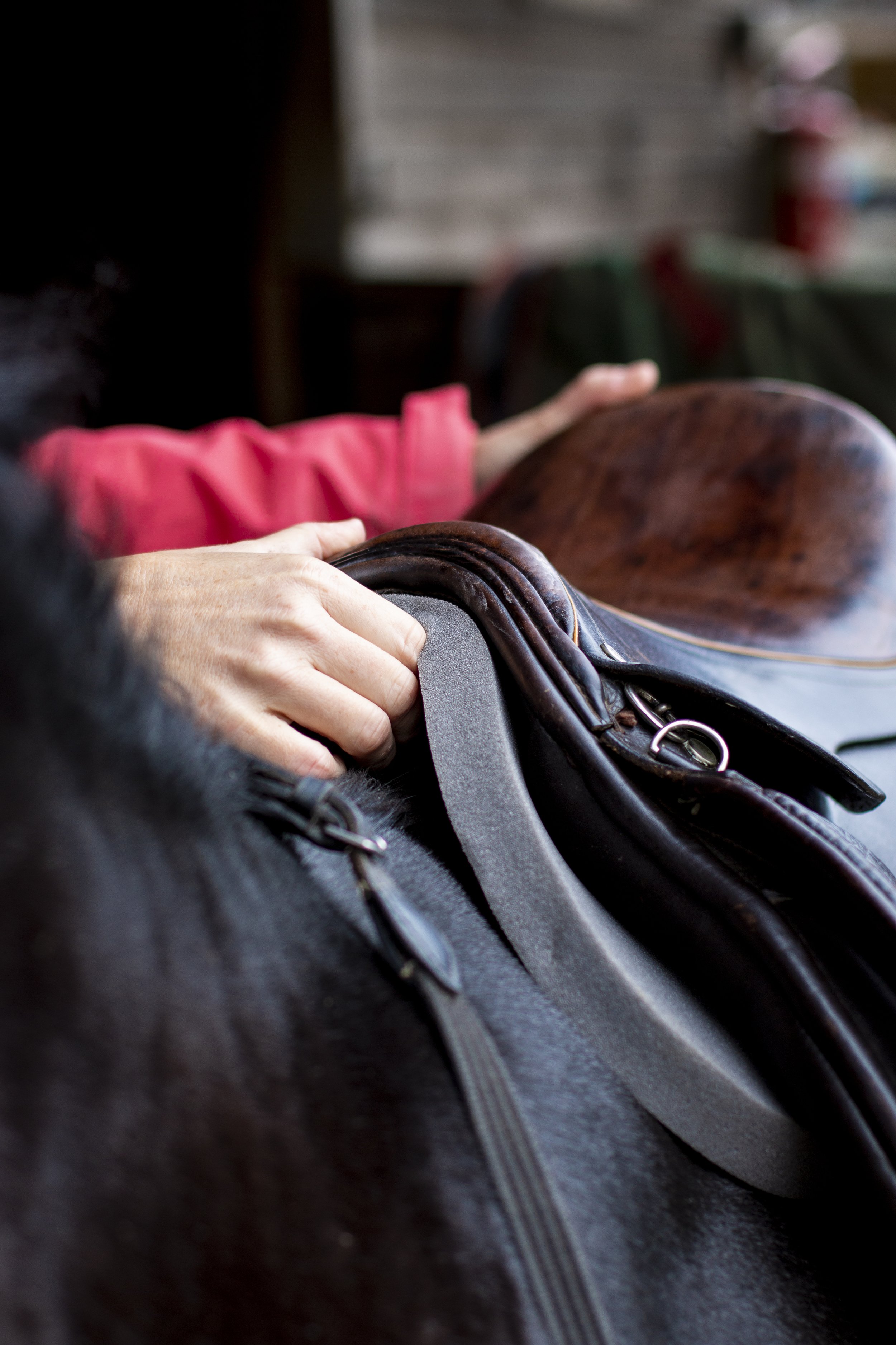 Hoof-it-product-SaddlePad-5_Original.jpg