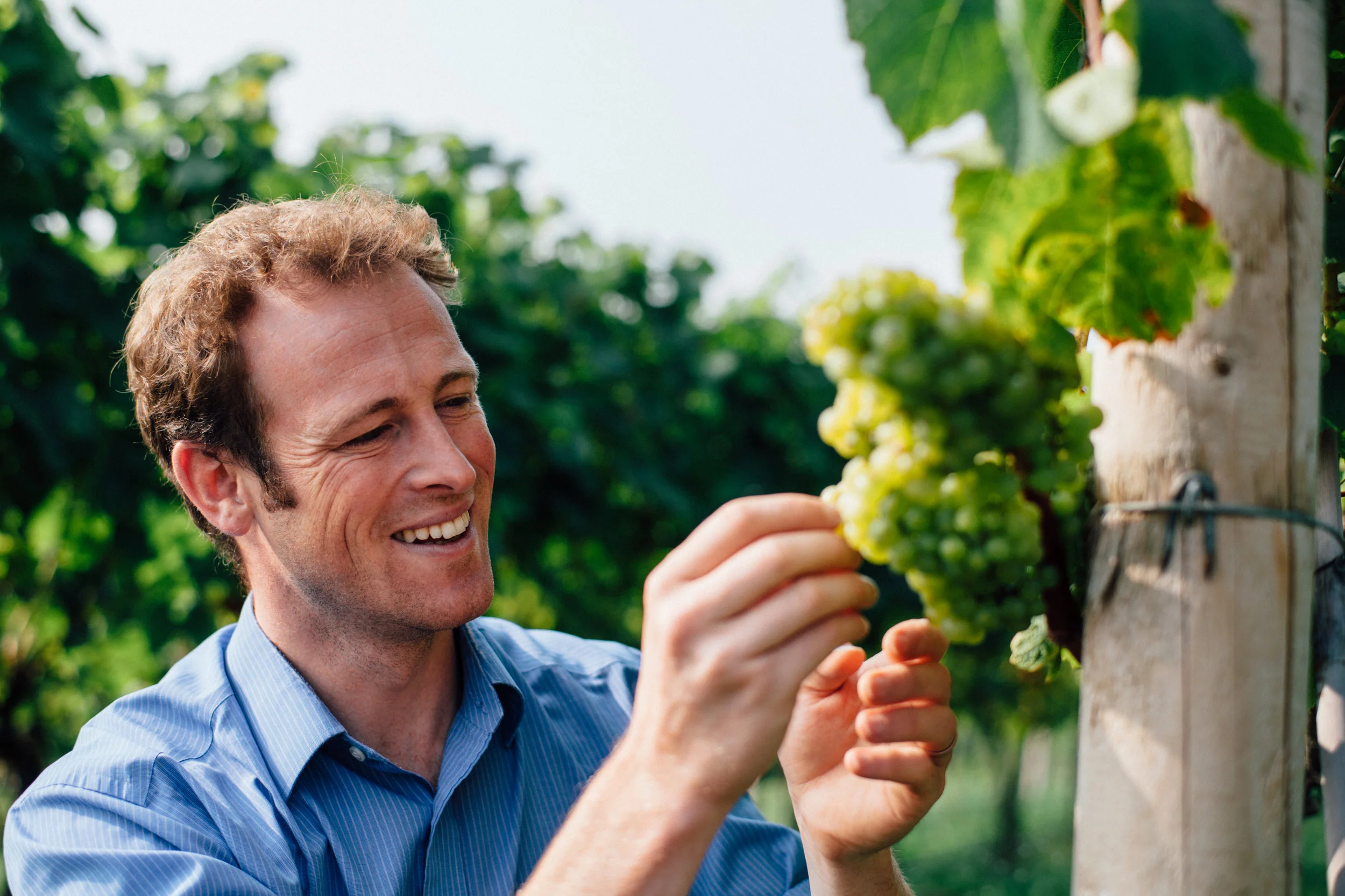 Castle Brook Vineyard Owner, Chris Chinn