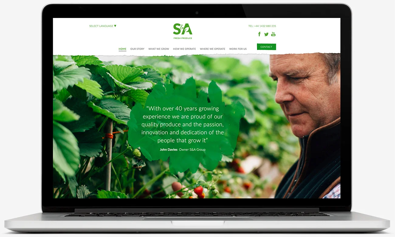 Multilingual website