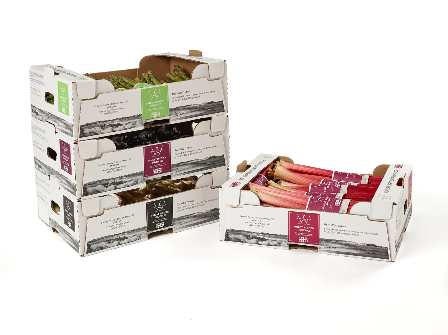 Packaging design