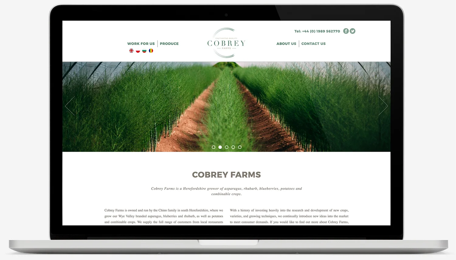 Website design and build