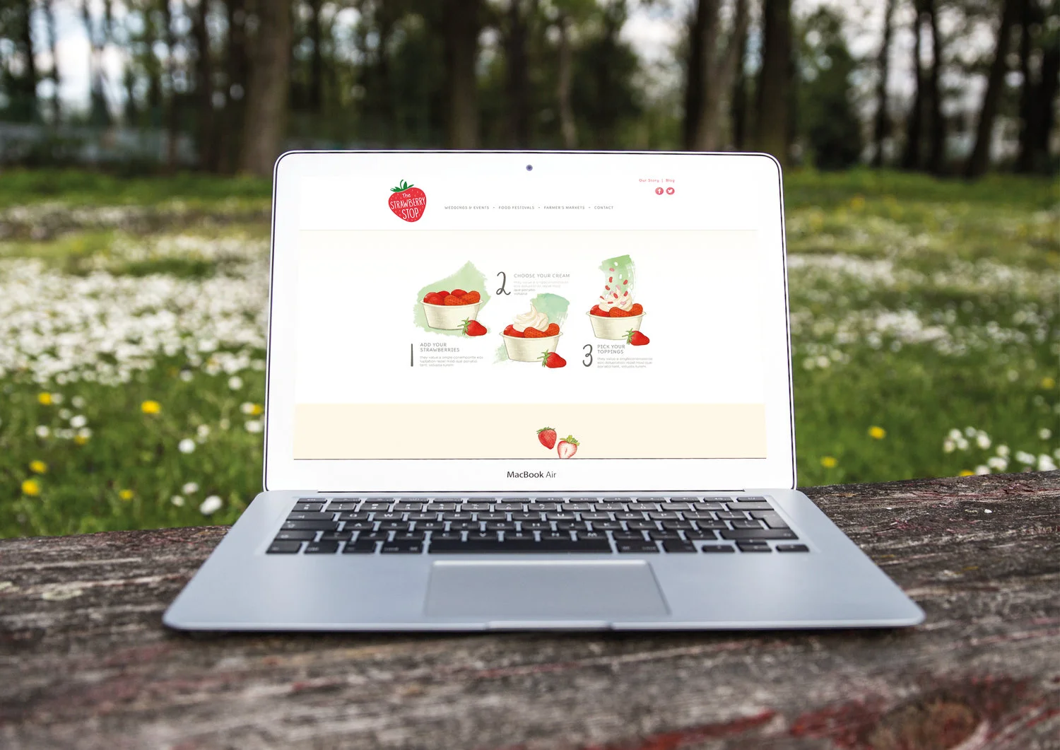 Website design