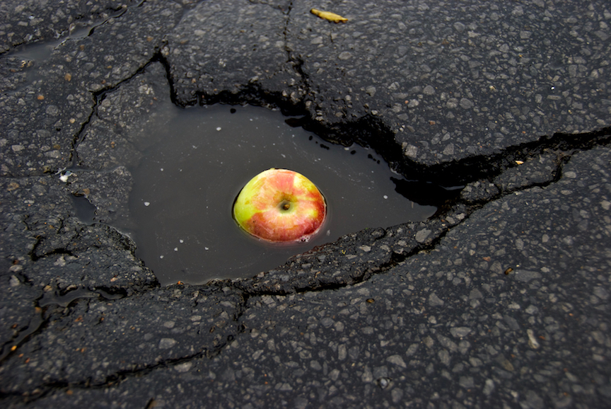 Apple in Pothole - 1 copy 2.jpg